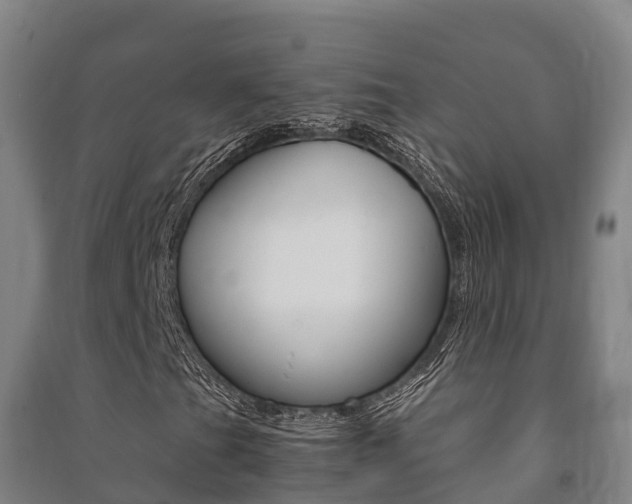 X0000091481201200708161141