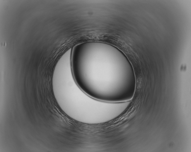 X0000091481202200708161141