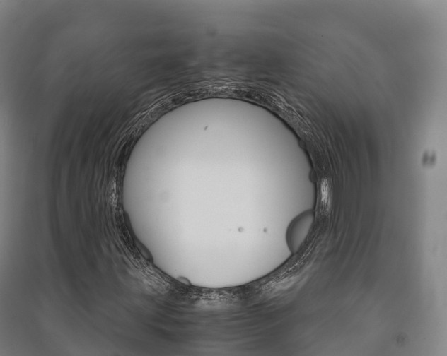 X0000091481203200708161141