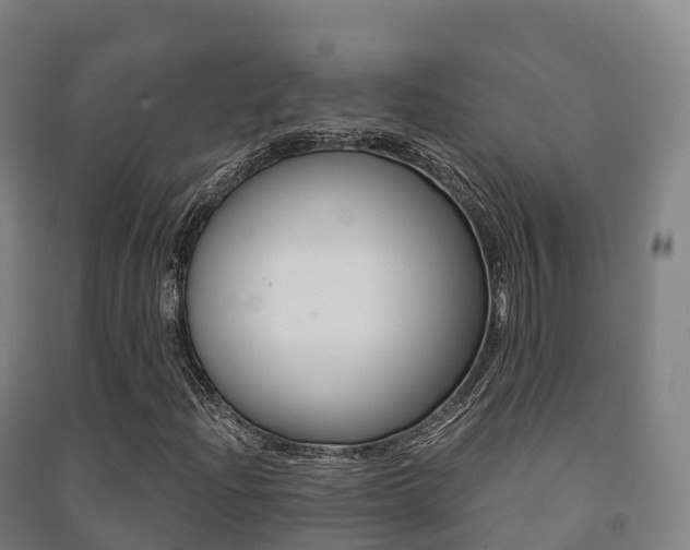 X0000091481204200708161141