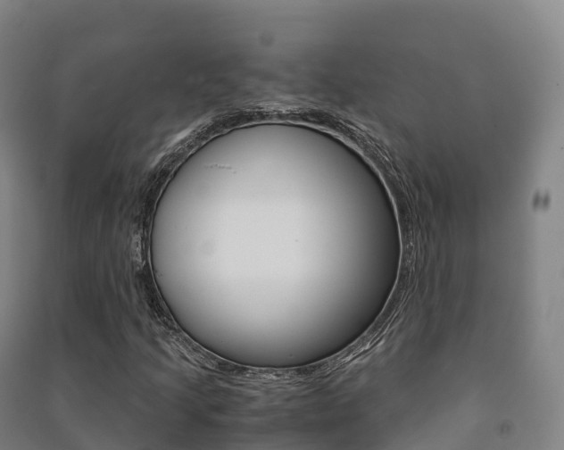 X0000091481205200708161141
