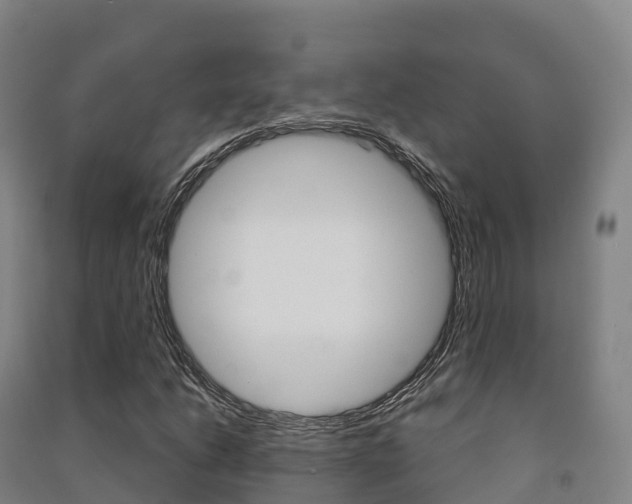 X0000091481206200708161141