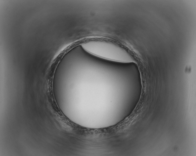 X0000091481208200708161141