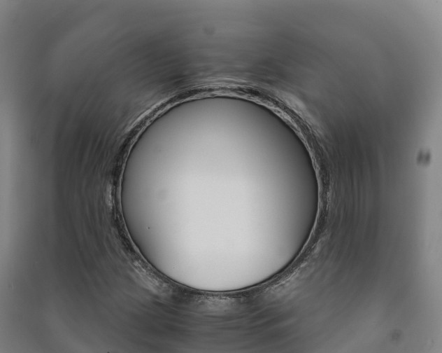X0000091481209200708161141