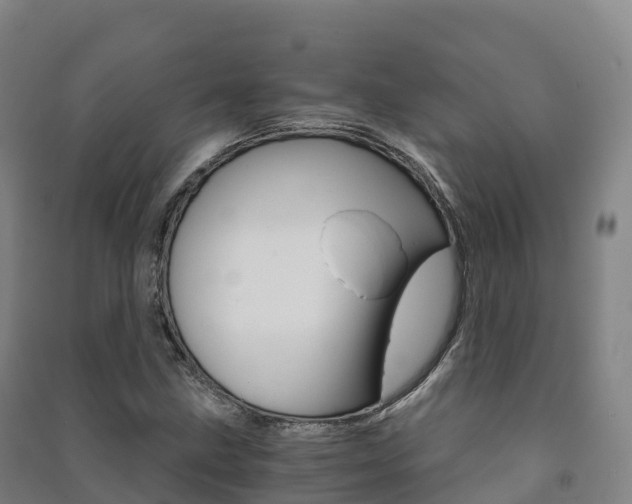 X0000091481211200708161141