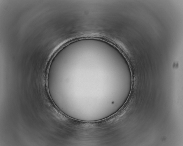 X0000091481212200708161141