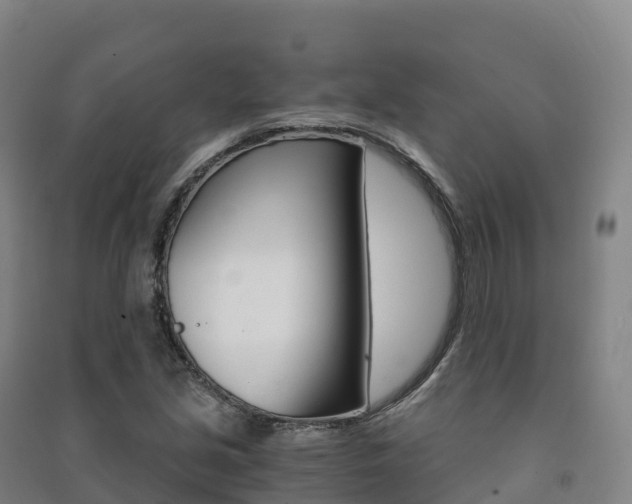 X0000091481213200708161141