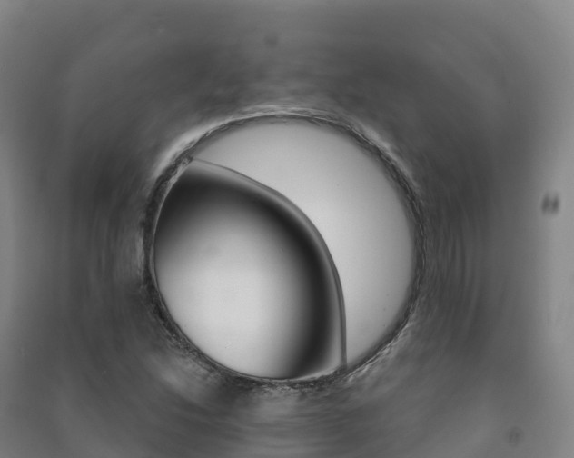 X0000091481214200708161141