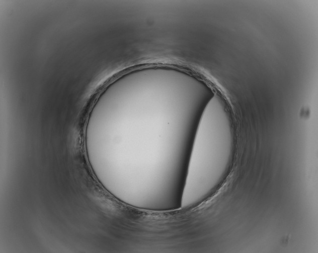 X0000091481215200708161141