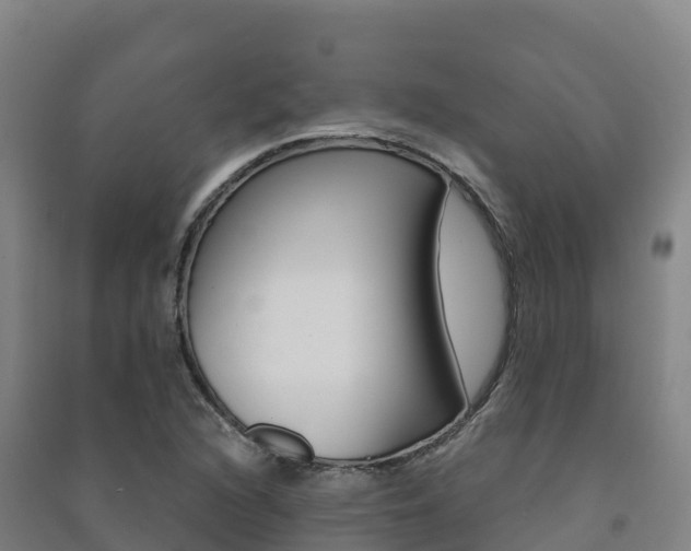 X0000091481216200708161141