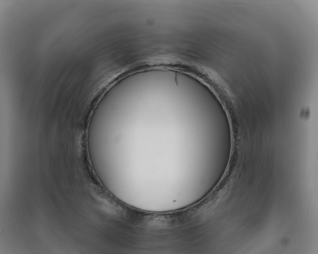 X0000091481217200708161141