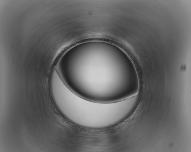 X0000091481218200708161141