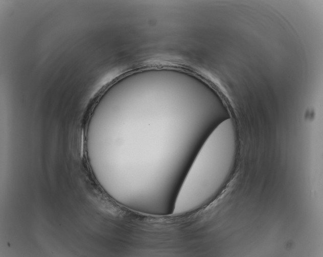X0000091481219200708161141