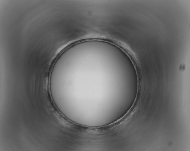 X0000091481220200708161141