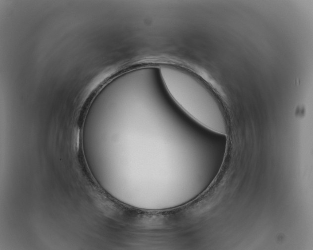 X0000091481221200708161141