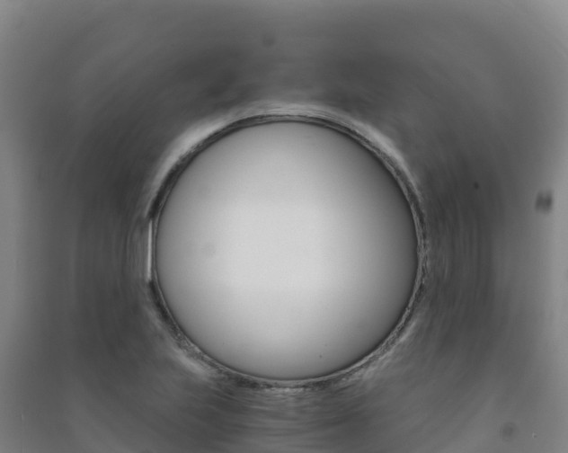 X0000091481223200708161141