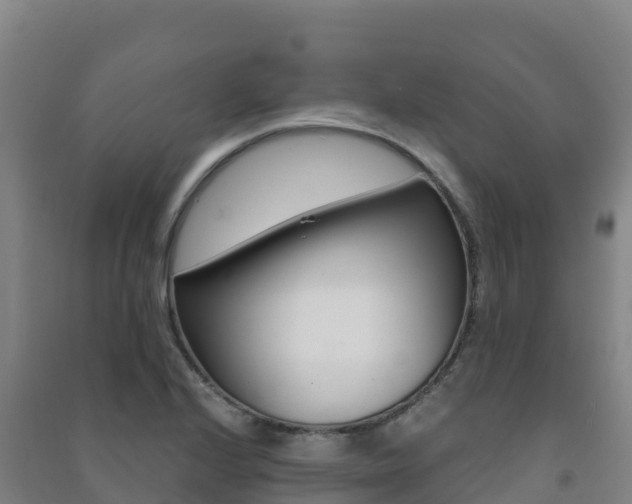 X0000091481224200708161142