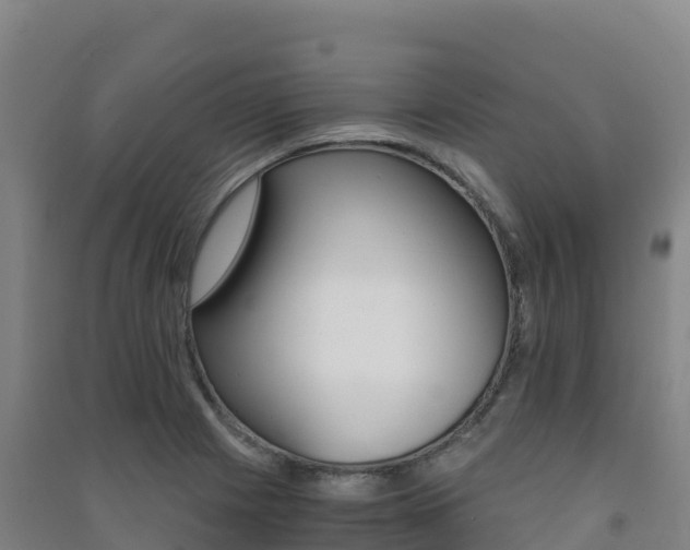 X0000091481225200708161142