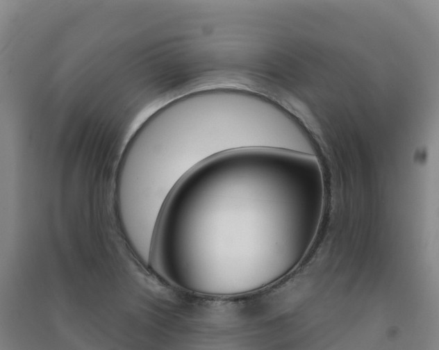 X0000091481226200708161142