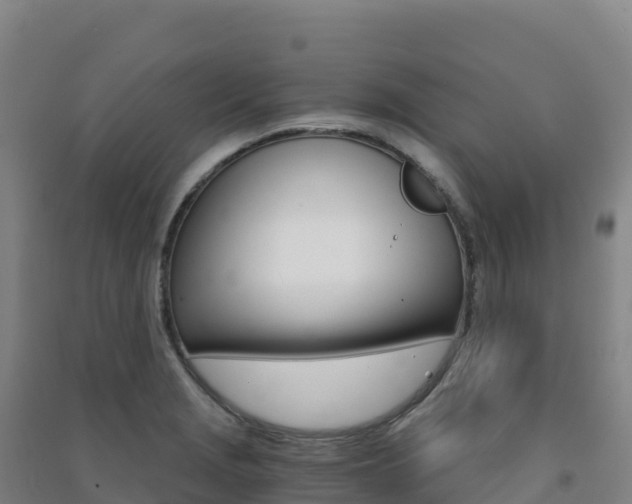 X0000091481229200708161142