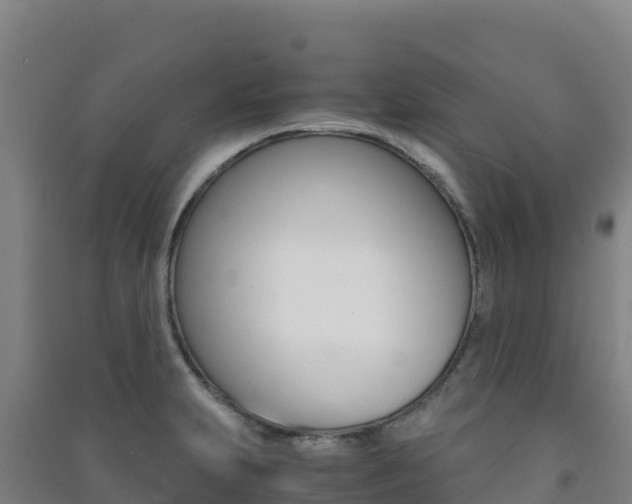 X0000091481231200708161142
