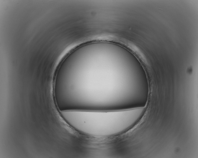 X0000091481232200708161142