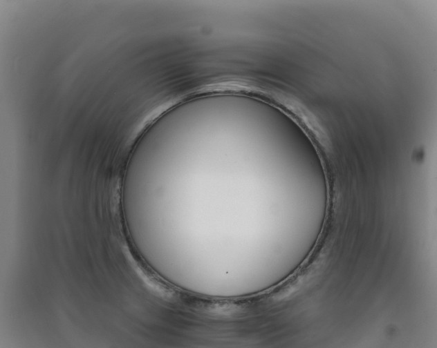 X0000091481233200708161142