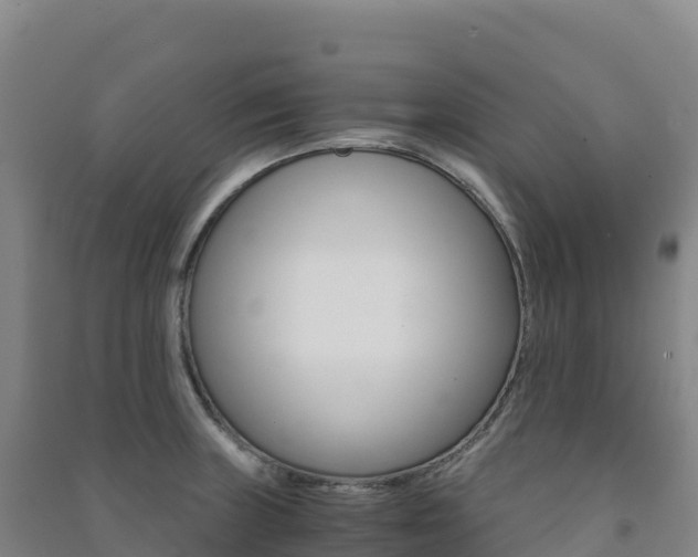 X0000091481235200708161142
