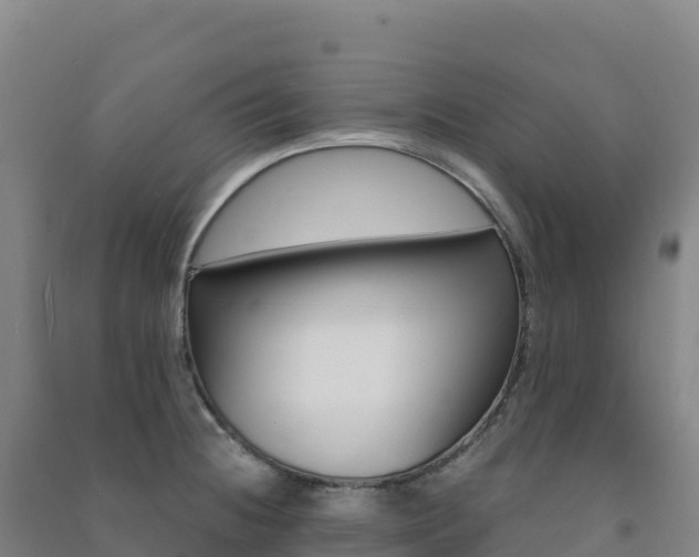 X0000091481236200708161142