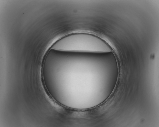 X0000091481237200708161142