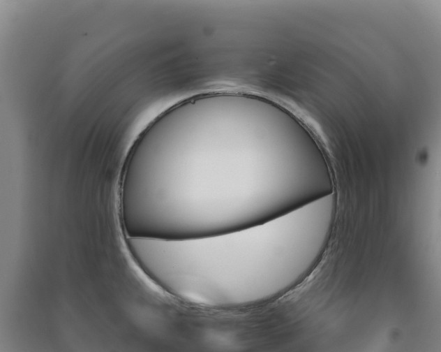 X0000091481239200708161142