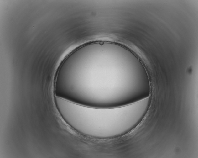 X0000091481240200708161142