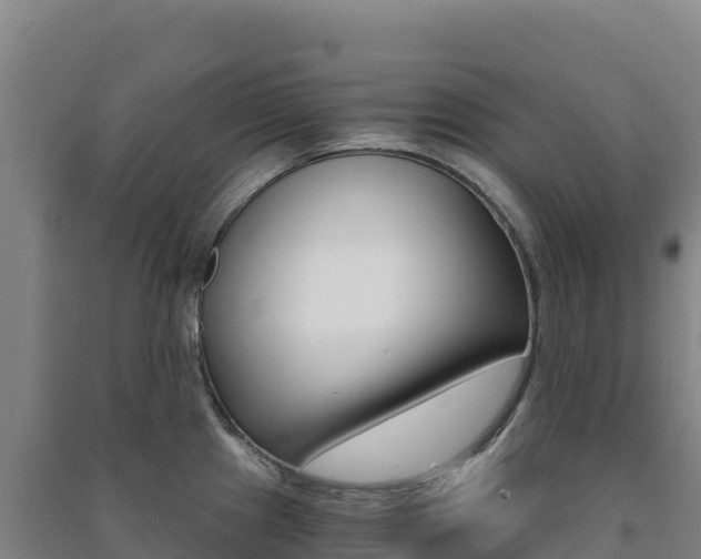 X0000091481241200708161142