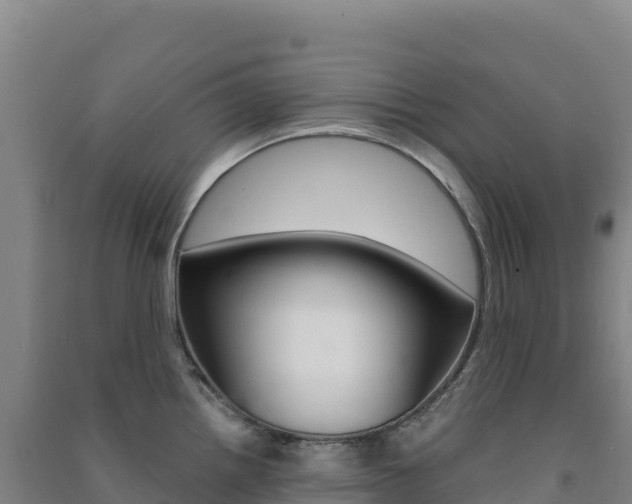 X0000091481242200708161142