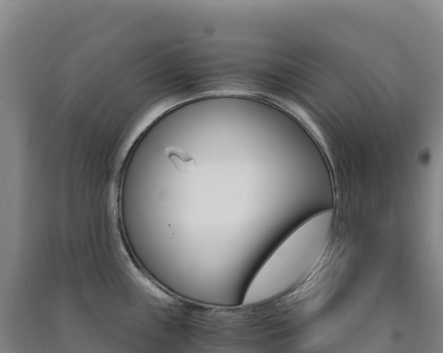 X0000091481243200708161142