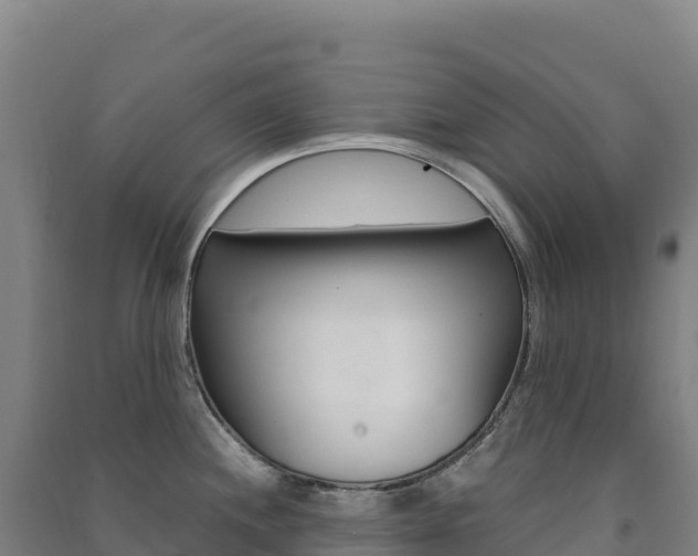 X0000091481244200708161142