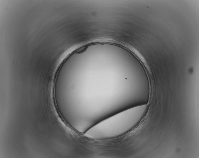 X0000091481245200708161142