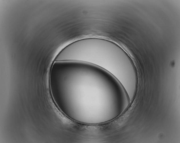 X0000091481246200708161142