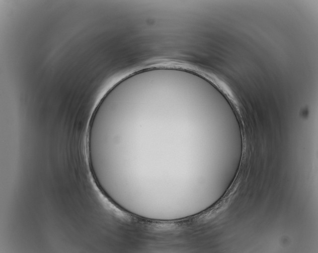 X0000091481247200708161142