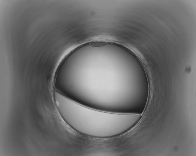 X0000091481248200708161142