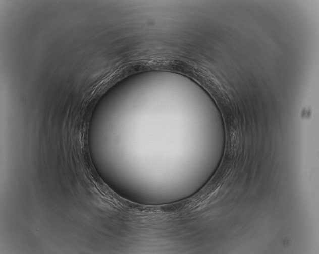 X0000091481250200708161141