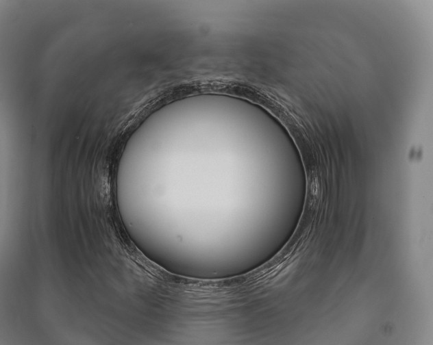 X0000091481252200708161141