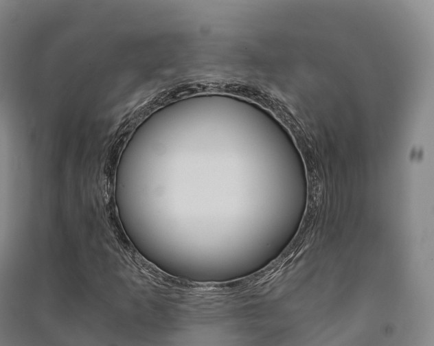 X0000091481253200708161141