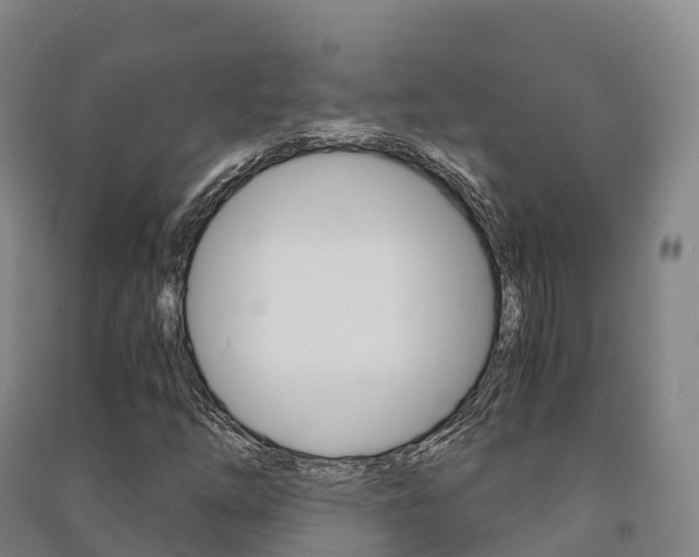 X0000091481254200708161141