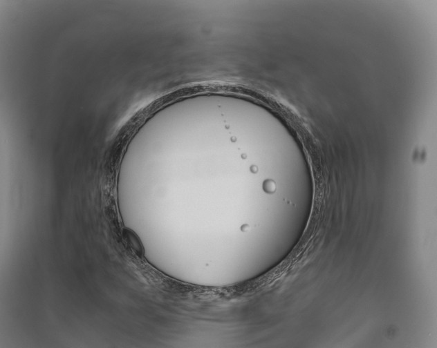 X0000091481255200708161141