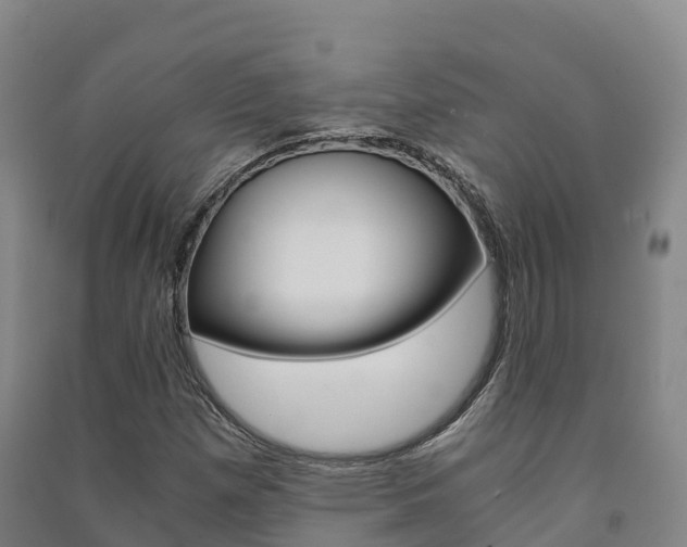 X0000091481257200708161141