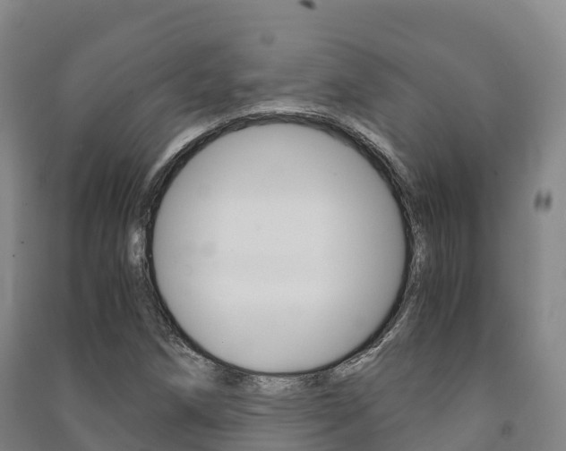 X0000091481258200708161141