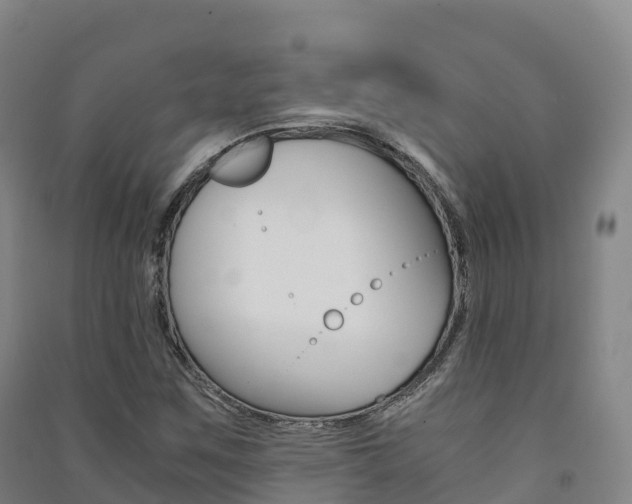X0000091481259200708161141