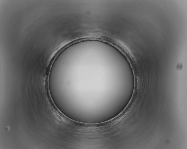 X0000091481260200708161141