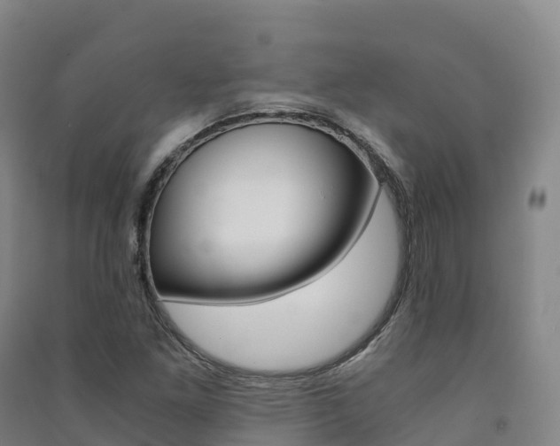 X0000091481261200708161141